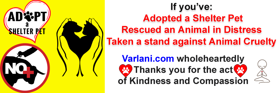 Varlani Thankyou copy
